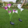 Lily Multi-Changing LED Lights - Solar Garden Stake Lights