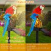 Solar Powered Parrot Garden Light IP65 Waterproof LED Parrot Landscape Lamp Decorative Lawn Lights